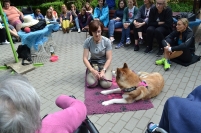 Odwiedziny Fundacji Dogoterapeutycznej Husky team, 05-06.07.2017 r.