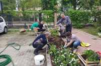 Sadzenie bratkw, 09.06.2022 r.