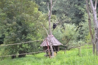 Wycieczka do ZOO, 11.07.2017 r.