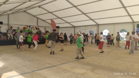 Gdaska Parada i Piknik Seniorw