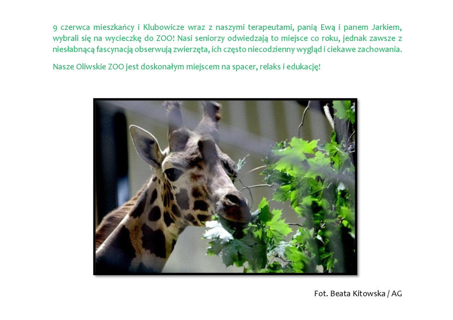 zoo