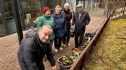 Zakwitły bratki na Polankach10