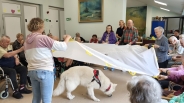 Dogoterapia z grupą Enzo, 04.09.2026&nbsp;r.4