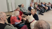 Dogoterapia z grupą Enzo, 04.09.2026&nbsp;r.5