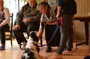 Dogoterapia, 08.07.2019 r.2