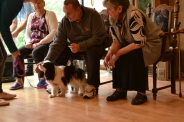 Dogoterapia, 08.07.2019 r.3