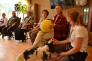 Dogoterapia, 08.07.2019 r.5