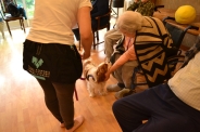 Dogoterapia, 08.07.2019 r.8