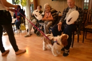 Dogoterapia, 08.07.2019 r.10
