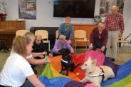 Dogoterapia z grupą Enzo, 23.01.2020 r.3