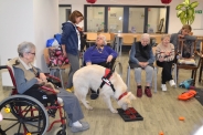 Dogoterapia z grupą Enzo, 23.01.2020 r.4