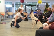 Dogoterapia z grupą Enzo, 23.01.2020 r.9