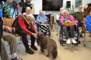 Dogoterapie na Polankach, 20.01.2023 r., 23.01.2023 r.4