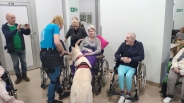 Dogoterapie na Polankach, 20.01.2023 r., 23.01.2023 r.8