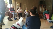 Dogoterapia, 26.09.2019 r.1