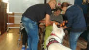 Dogoterapia, 26.09.2019 r.4