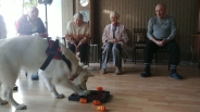 Dogoterapia, 26.09.2019 r.5