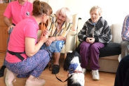 Dogoterapia na Polankach, 09.07.2018 r.1