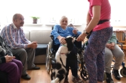 Dogoterapia na Polankach, 09.07.2018 r.2