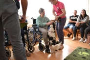 Dogoterapia na Polankach, 09.07.2018 r.3