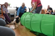 Dogoterapia na Polankach, 09.07.2018 r.4