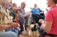 Dogoterapia na Polankach, 09.07.2018 r.6