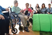 Dogoterapia na Polankach, 09.07.2018 r.7