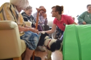 Dogoterapia na Polankach, 09.07.2018 r.8
