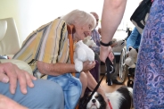Dogoterapia na Polankach, 09.07.2018 r.11
