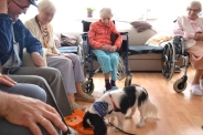 Dogoterapia na Polankach, 09.07.2018 r.12