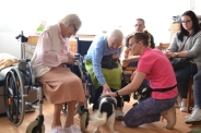 Dogoterapia na Polankach, 09.07.2018 r.13