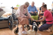 Dogoterapia na Polankach, 09.07.2018 r.14