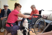 Dogoterapia na Polankach, 09.07.2018 r.15