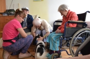Dogoterapia na Polankach, 09.07.2018 r.16