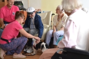 Dogoterapia na Polankach, 09.07.2018 r.17