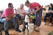 Dogoterapia na Polankach, 09.07.2018 r.18