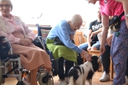 Dogoterapia na Polankach, 09.07.2018 r.19
