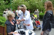Festyn <q>Powitanie Lata</q>, 09.06.2017 r.22