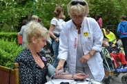 Festyn <q>Powitanie Lata</q>, 09.06.2017 r.23