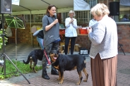 Festyn <q>Powitanie Lata</q>, 09.06.2017 r.43