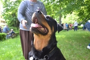 Festyn <q>Powitanie Lata</q>, 09.06.2017 r.46