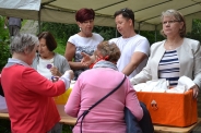 Festyn <q>Powitanie Lata</q>, 09.06.2017 r.94