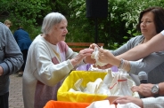 Festyn <q>Powitanie Lata</q>, 09.06.2017 r.96