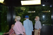 Oceanarium w Gdyni, 08.08.2018 r.1