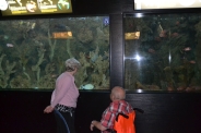 Oceanarium w Gdyni, 08.08.2018 r.2