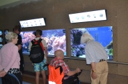 Oceanarium w Gdyni, 08.08.2018 r.3