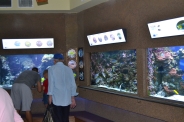 Oceanarium w Gdyni, 08.08.2018 r.4