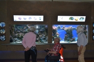 Oceanarium w Gdyni, 08.08.2018 r.5