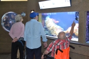 Oceanarium w Gdyni, 08.08.2018 r.6