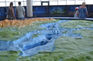Oceanarium w Gdyni, 08.08.2018 r.8